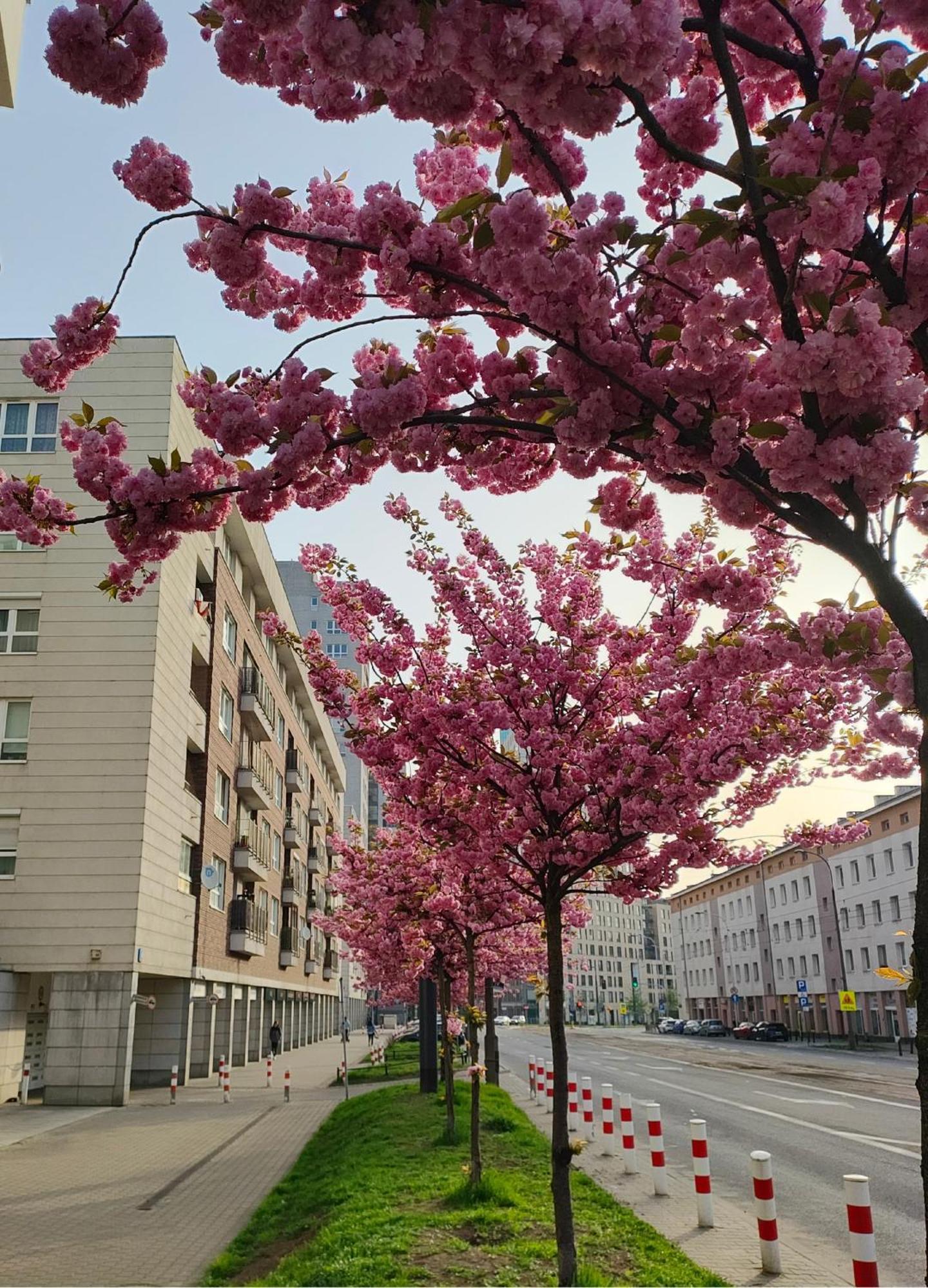Totutotam_02 Apartment Варшава Екстериор снимка