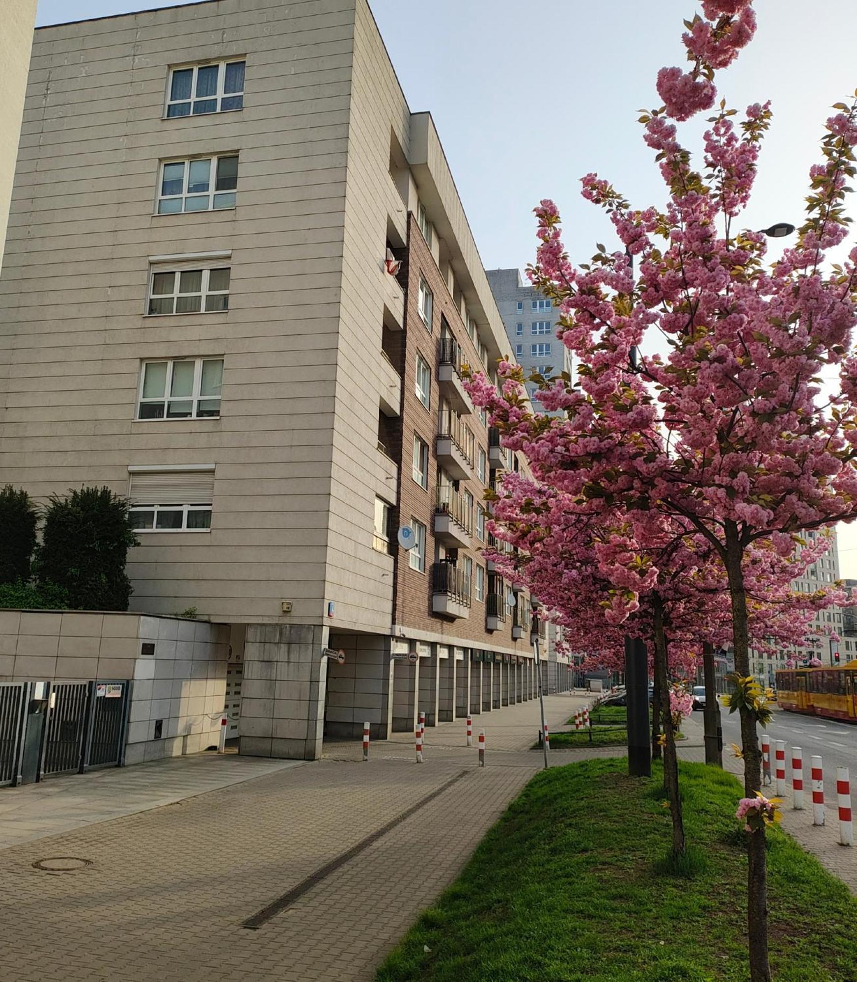 Totutotam_02 Apartment Варшава Екстериор снимка